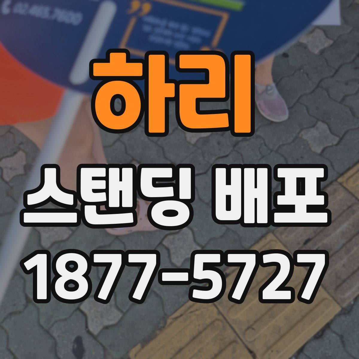 하리 스탠딩 배포