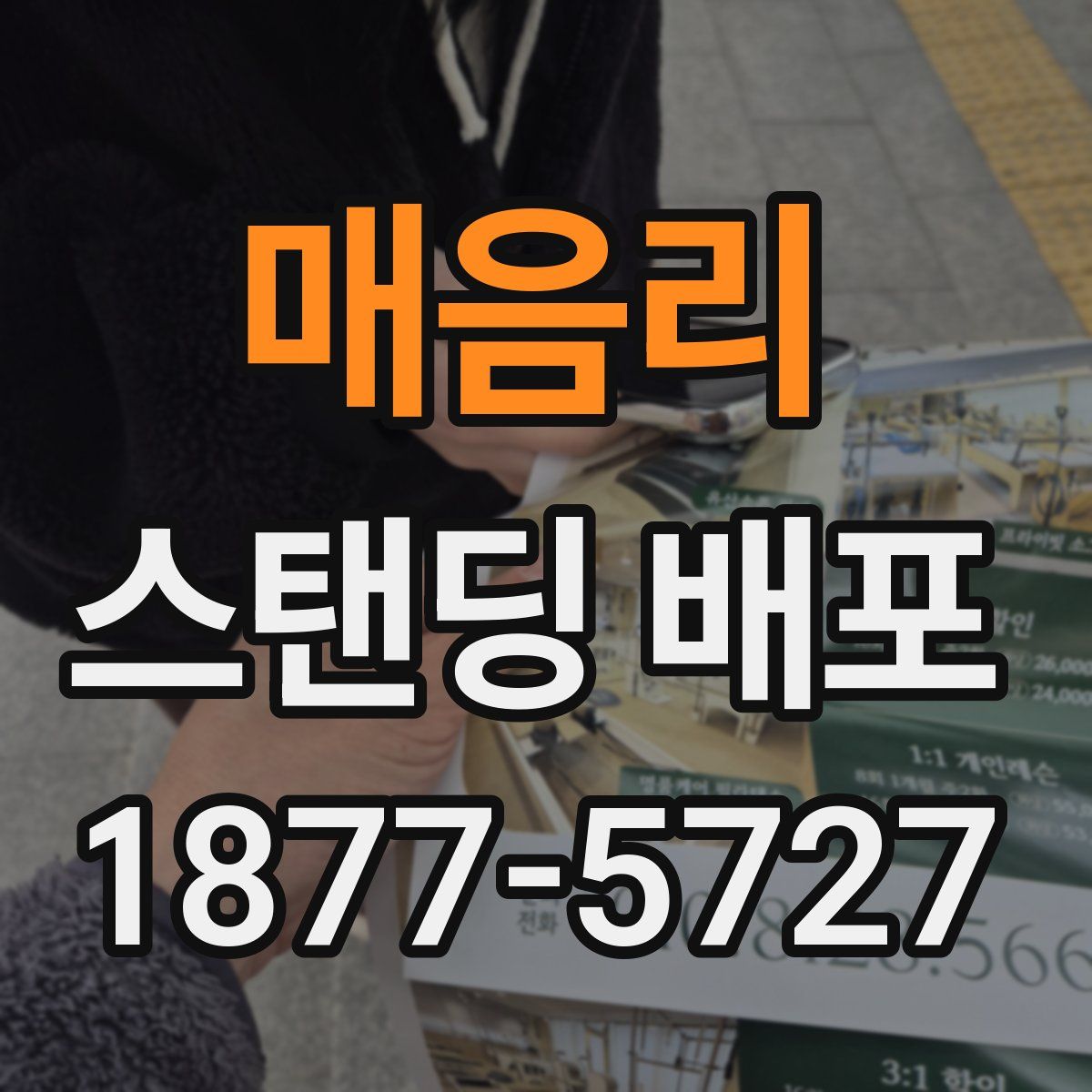 매음리 스탠딩 배포