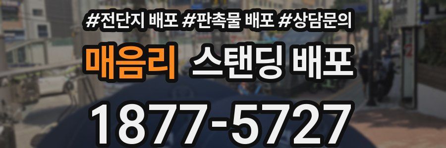 매음리 스탠딩 배포