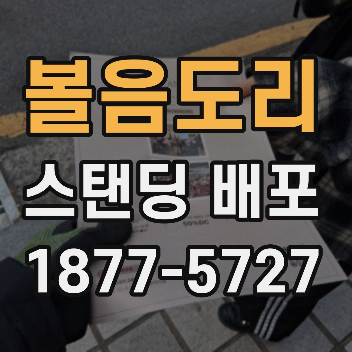 볼음도리 스탠딩 배포