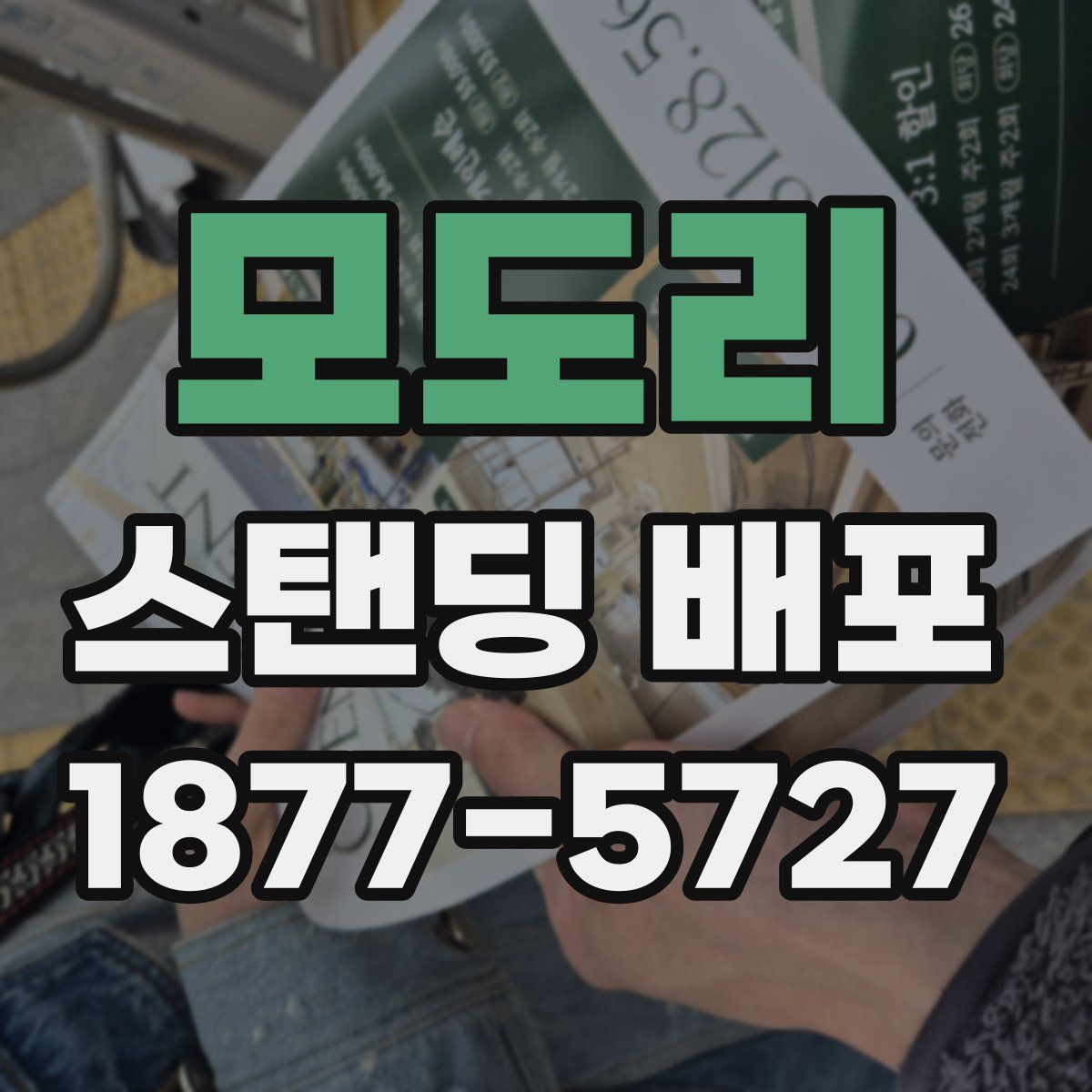 모도리 스탠딩 배포