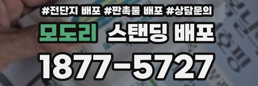 모도리 스탠딩 배포