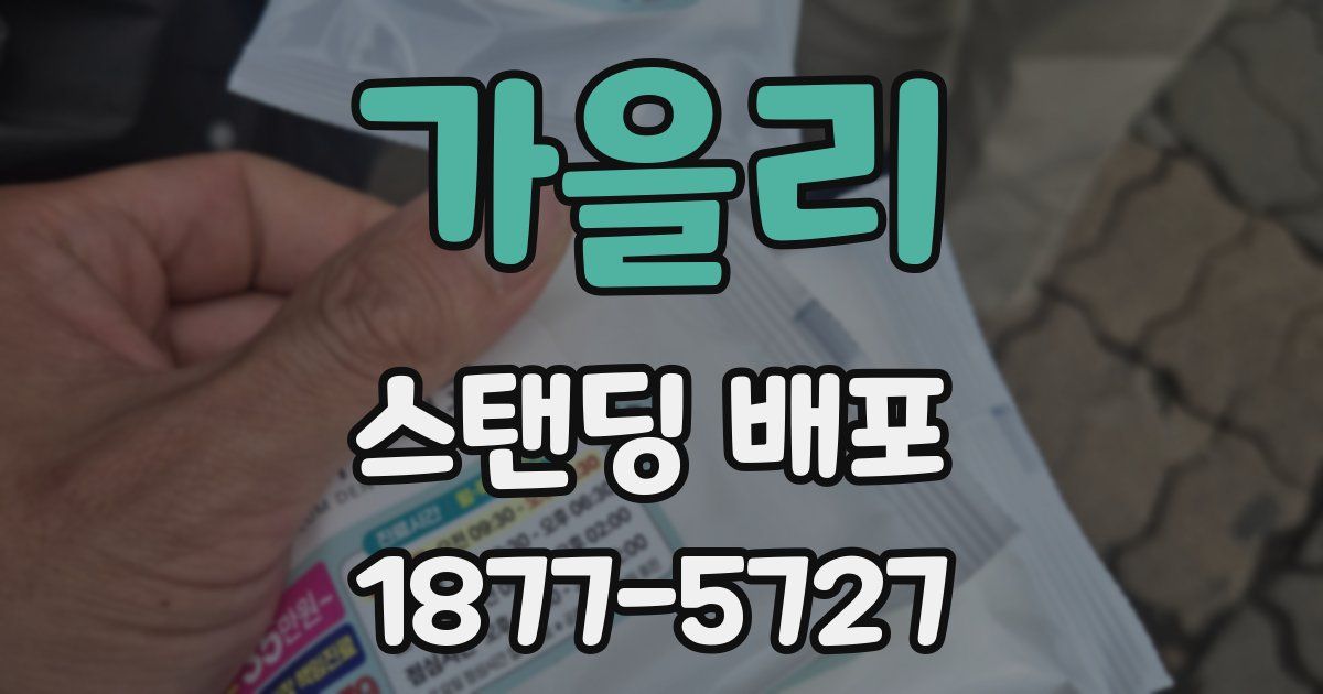가을리 스탠딩 배포