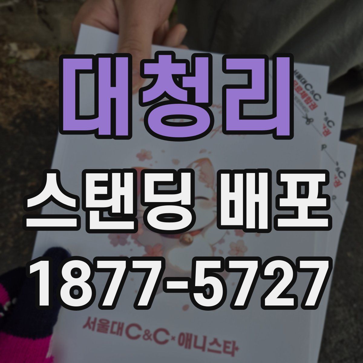 대청리 스탠딩 배포