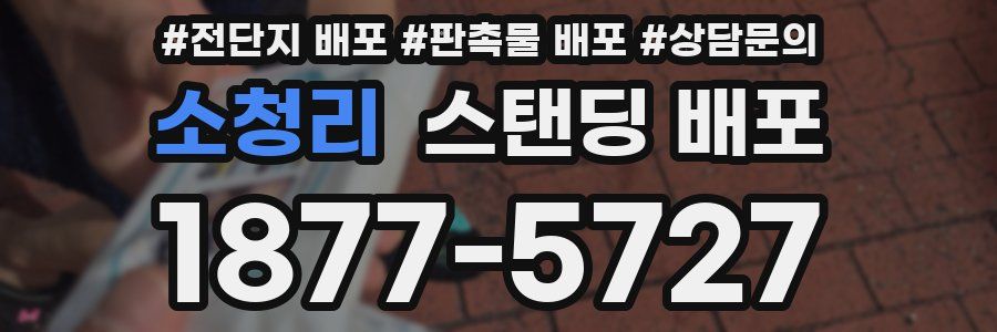 소청리 스탠딩 배포