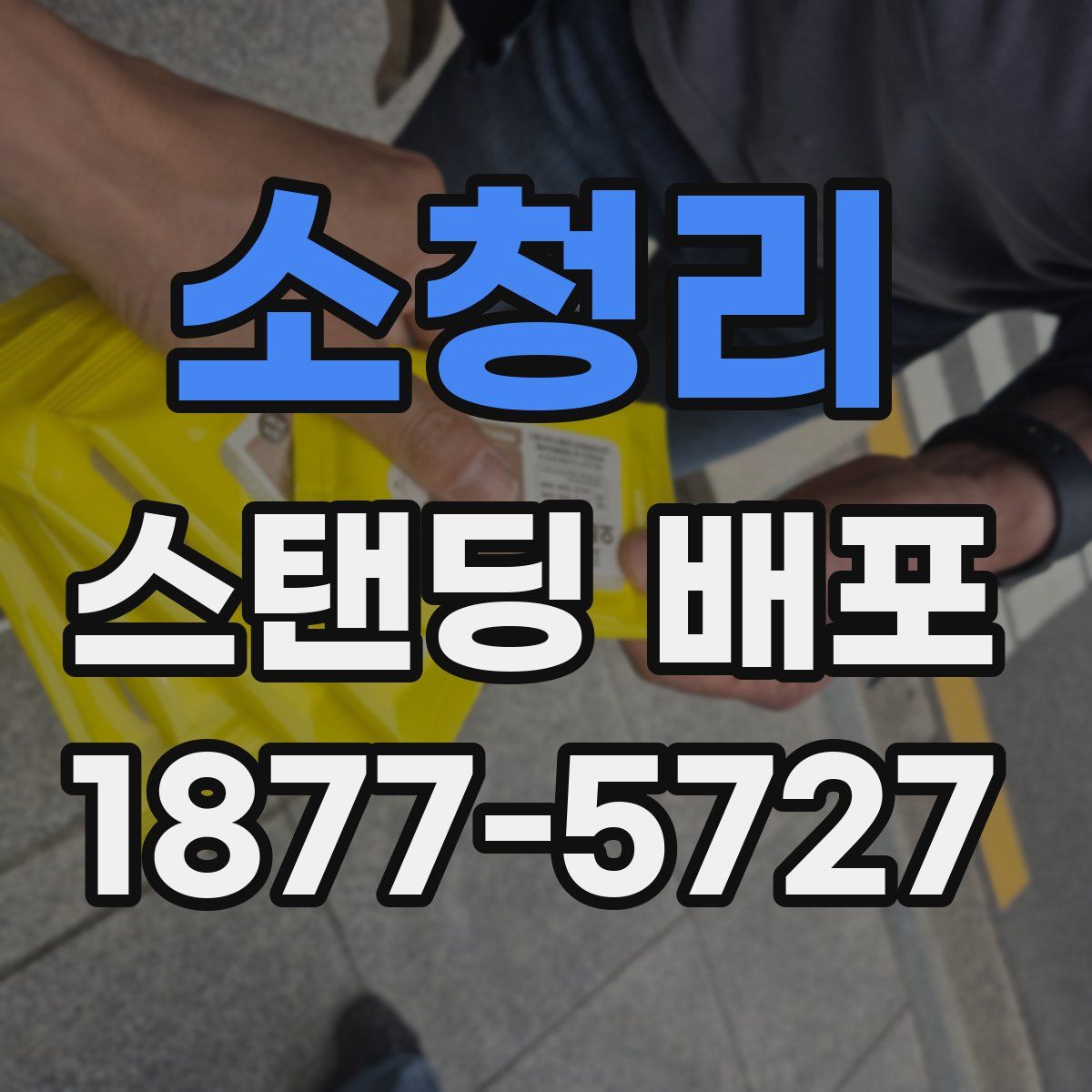 소청리 스탠딩 배포