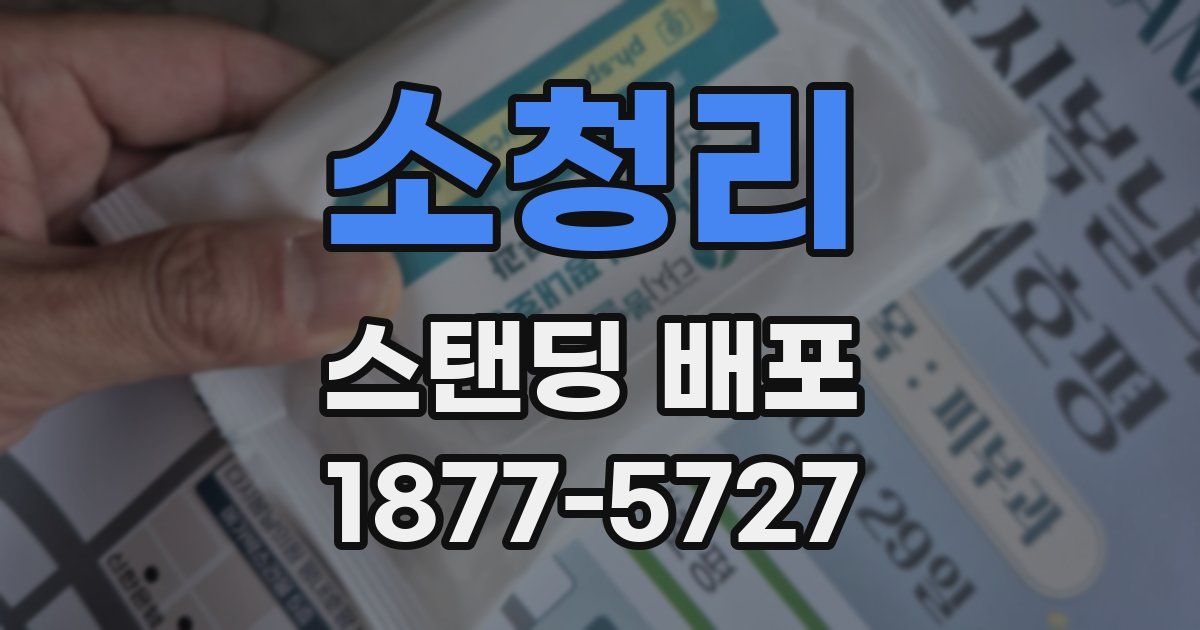 소청리 스탠딩 배포