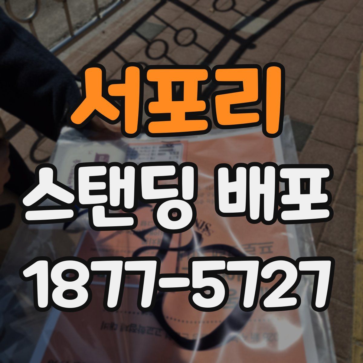 서포리 스탠딩 배포