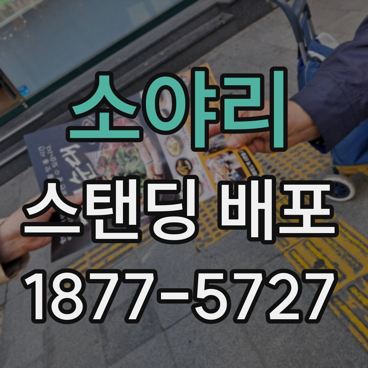 소야리 스탠딩 배포