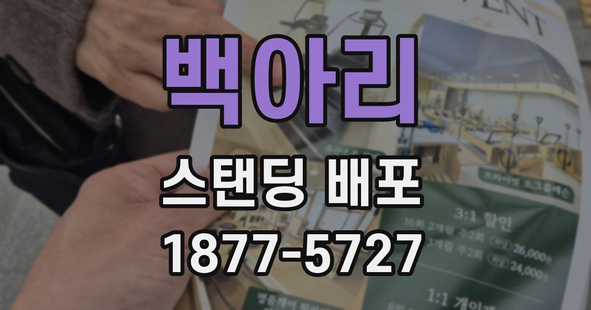 백아리 스탠딩 배포