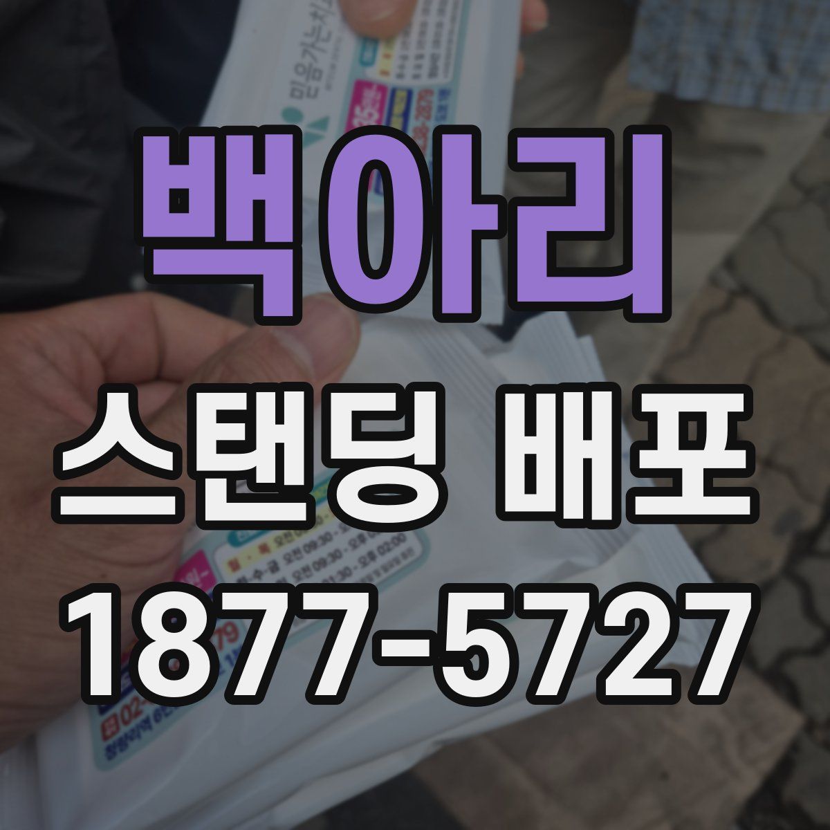 백아리 스탠딩 배포