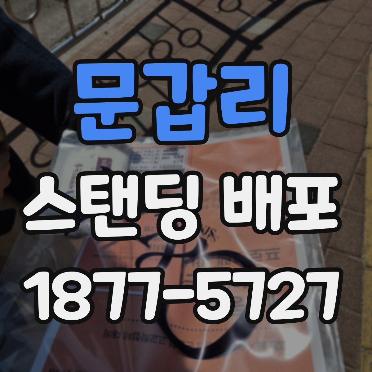 문갑리 스탠딩 배포