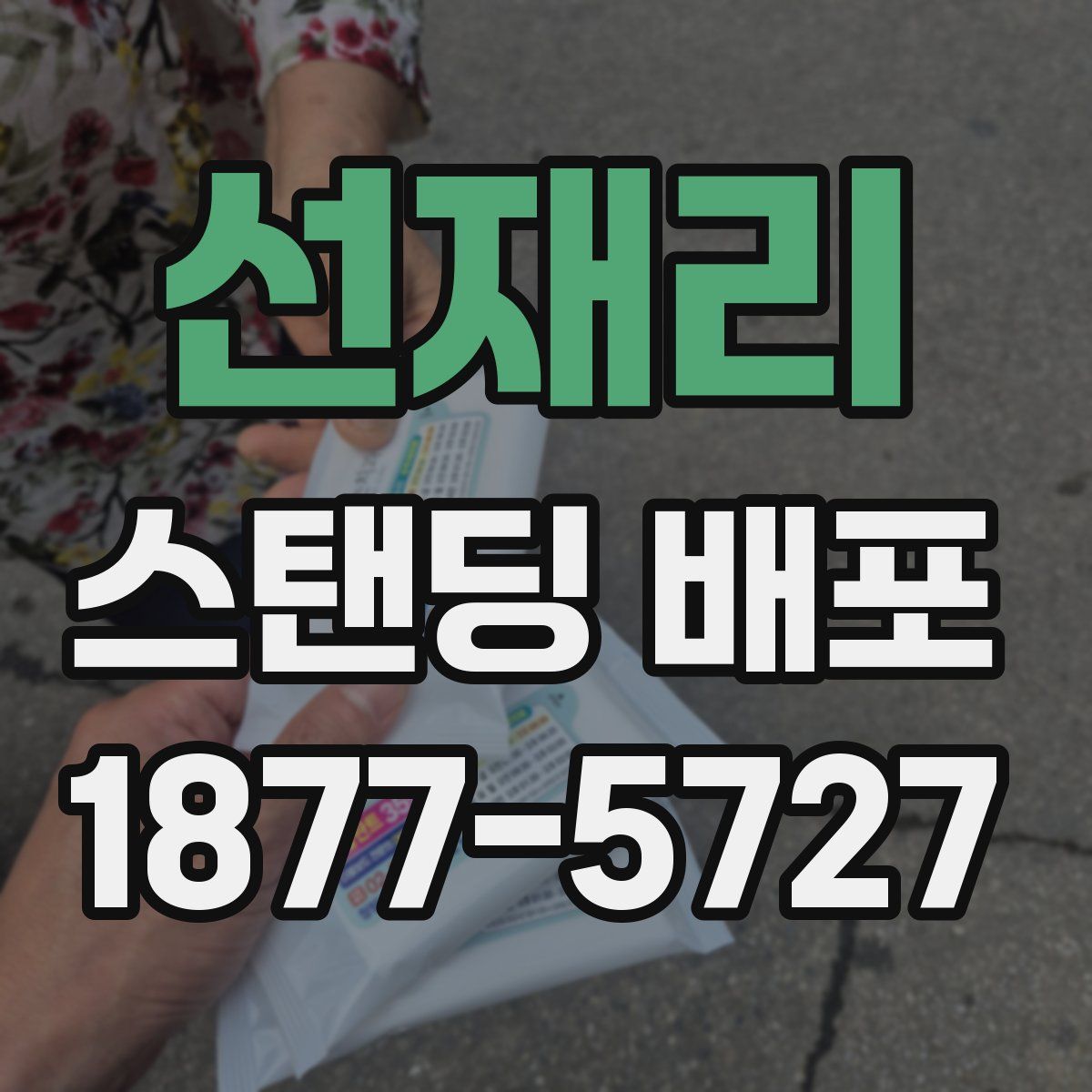 선재리 스탠딩 배포