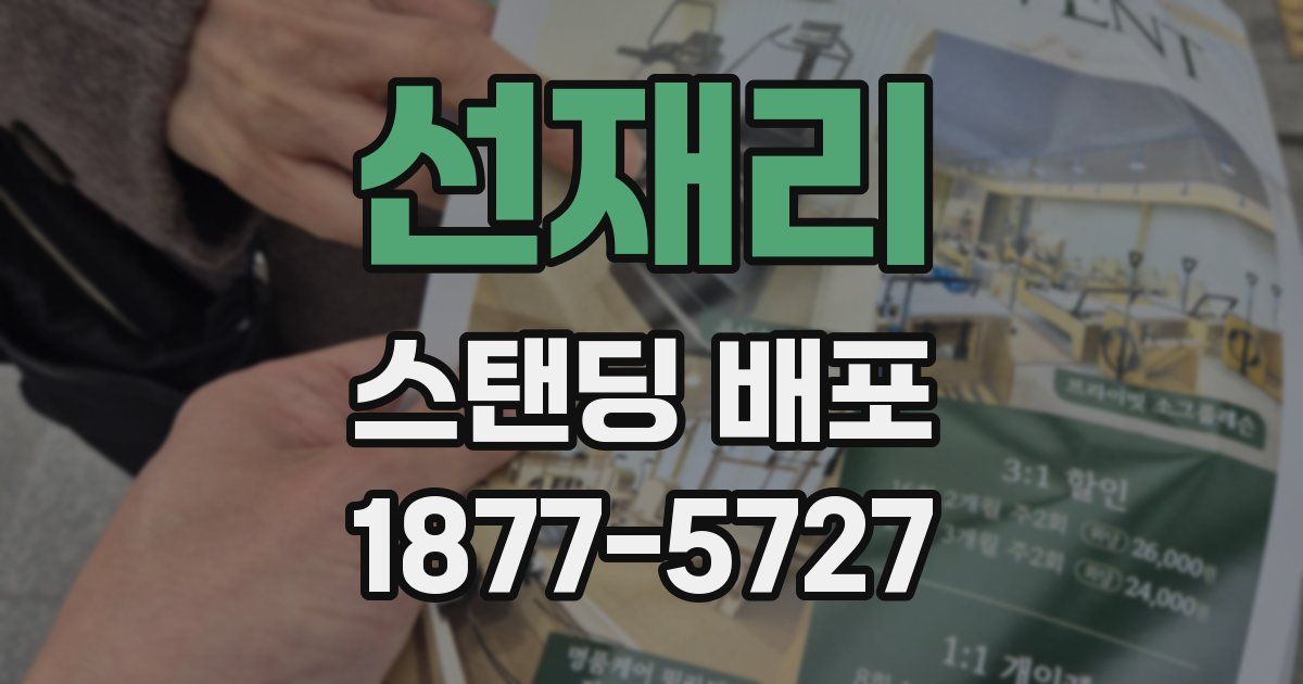 선재리 스탠딩 배포