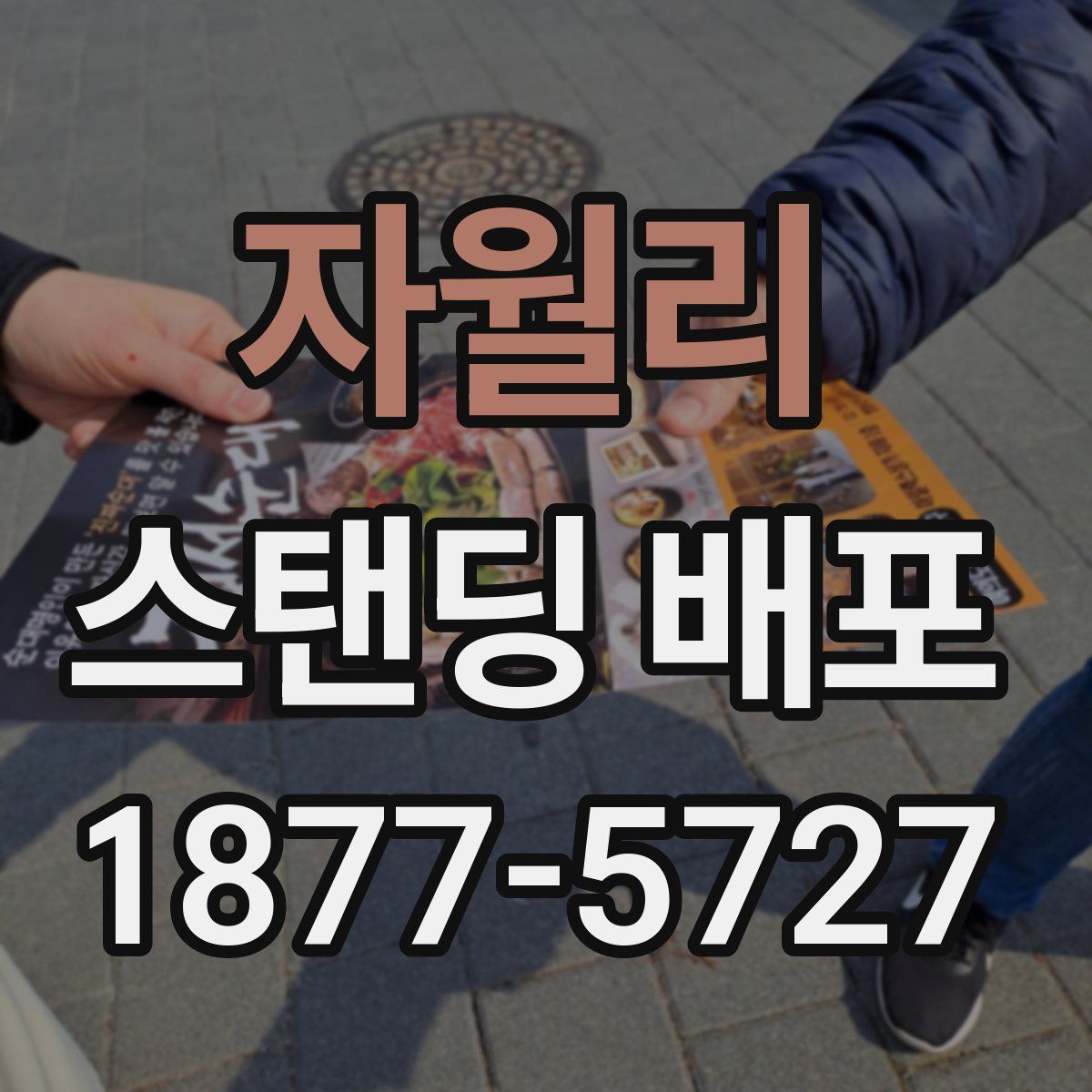자월리 스탠딩 배포