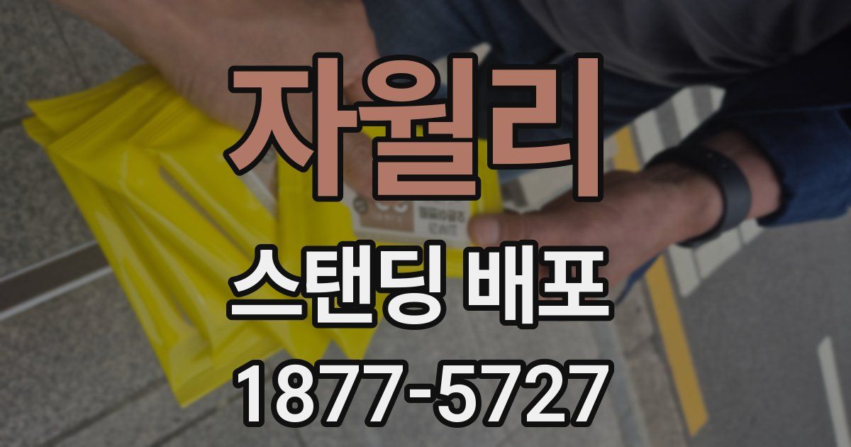 자월리 스탠딩 배포