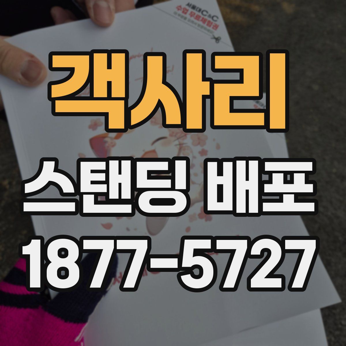 객사리 스탠딩 배포
