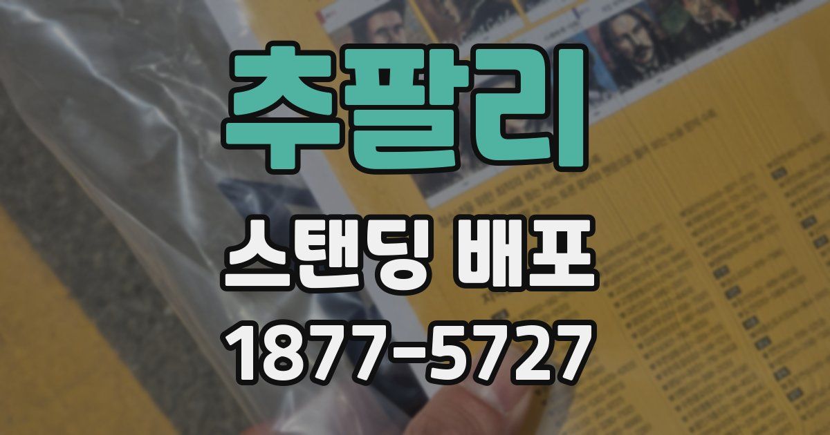 추팔리 스탠딩 배포