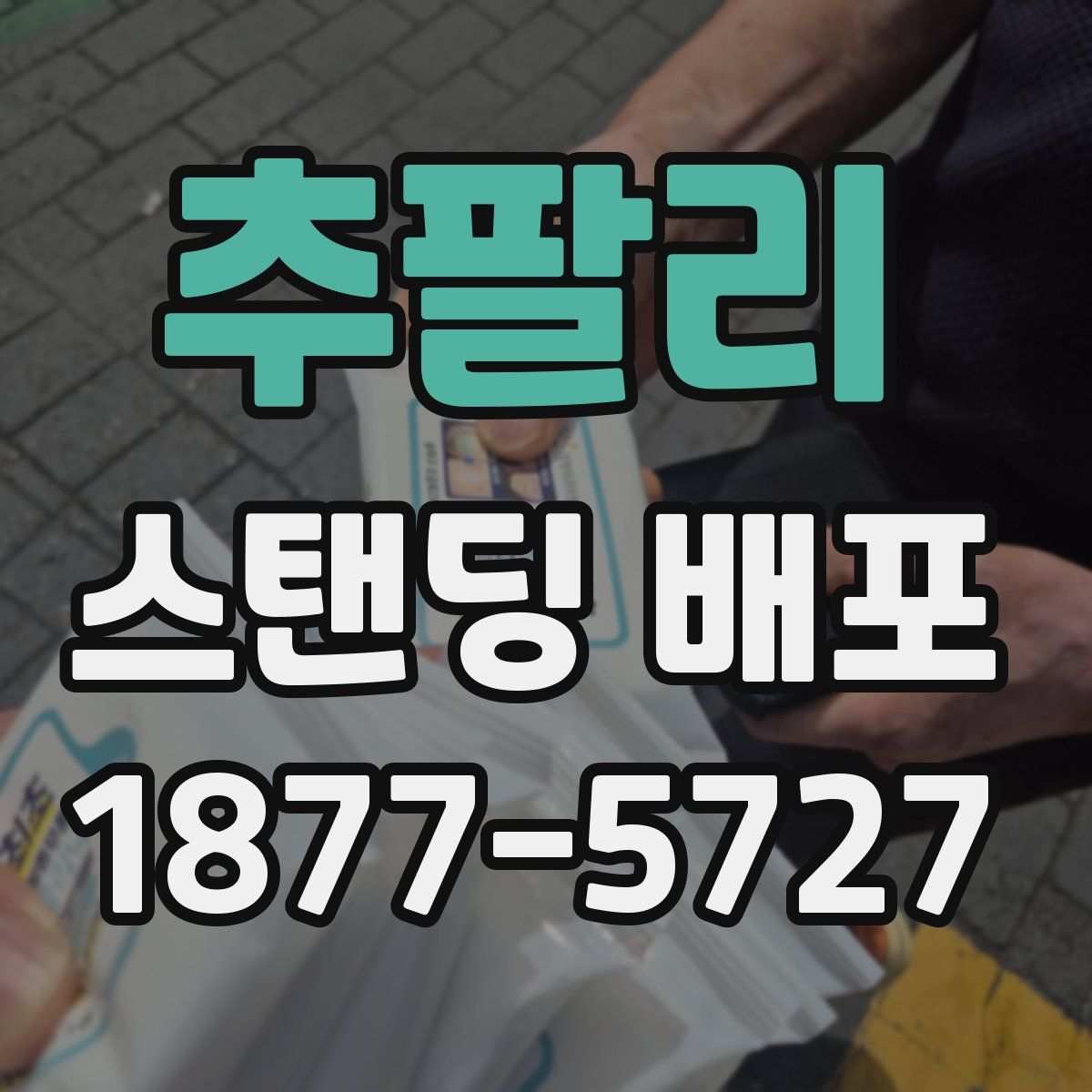 추팔리 스탠딩 배포