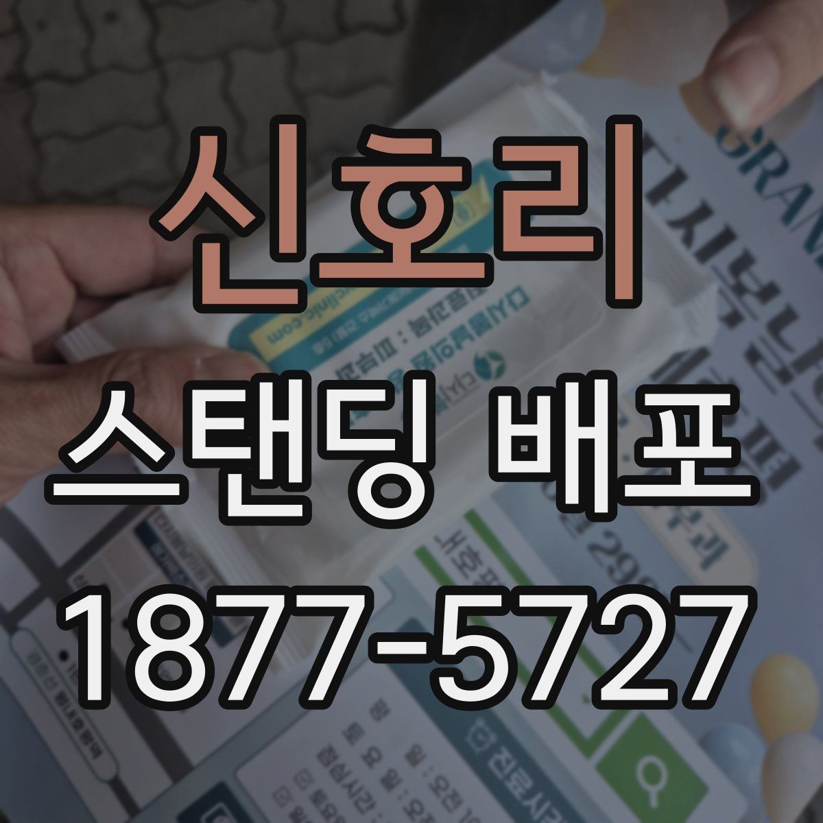 신호리 스탠딩 배포