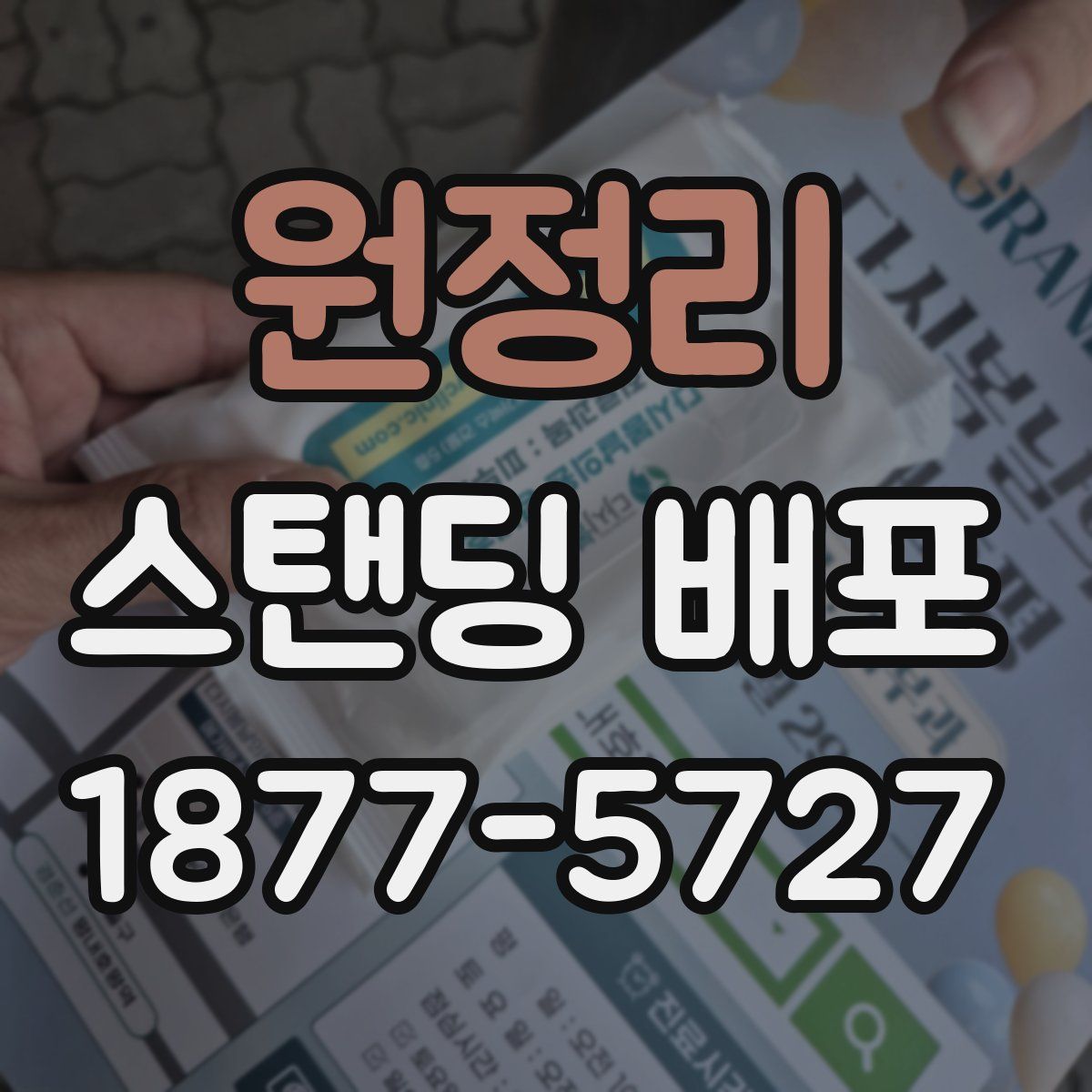 원정리 스탠딩 배포