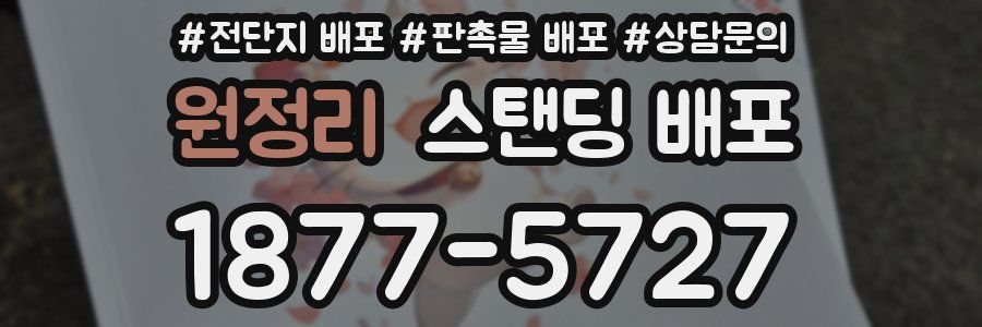원정리 스탠딩 배포
