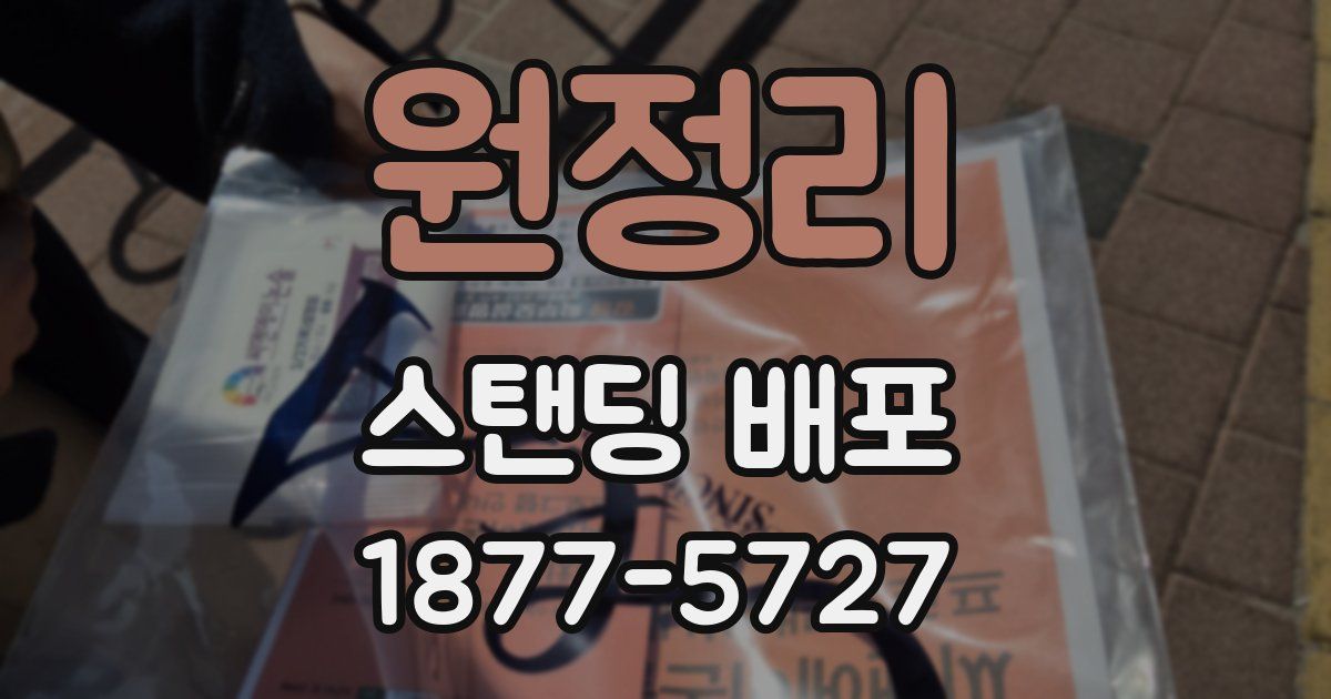 원정리 스탠딩 배포