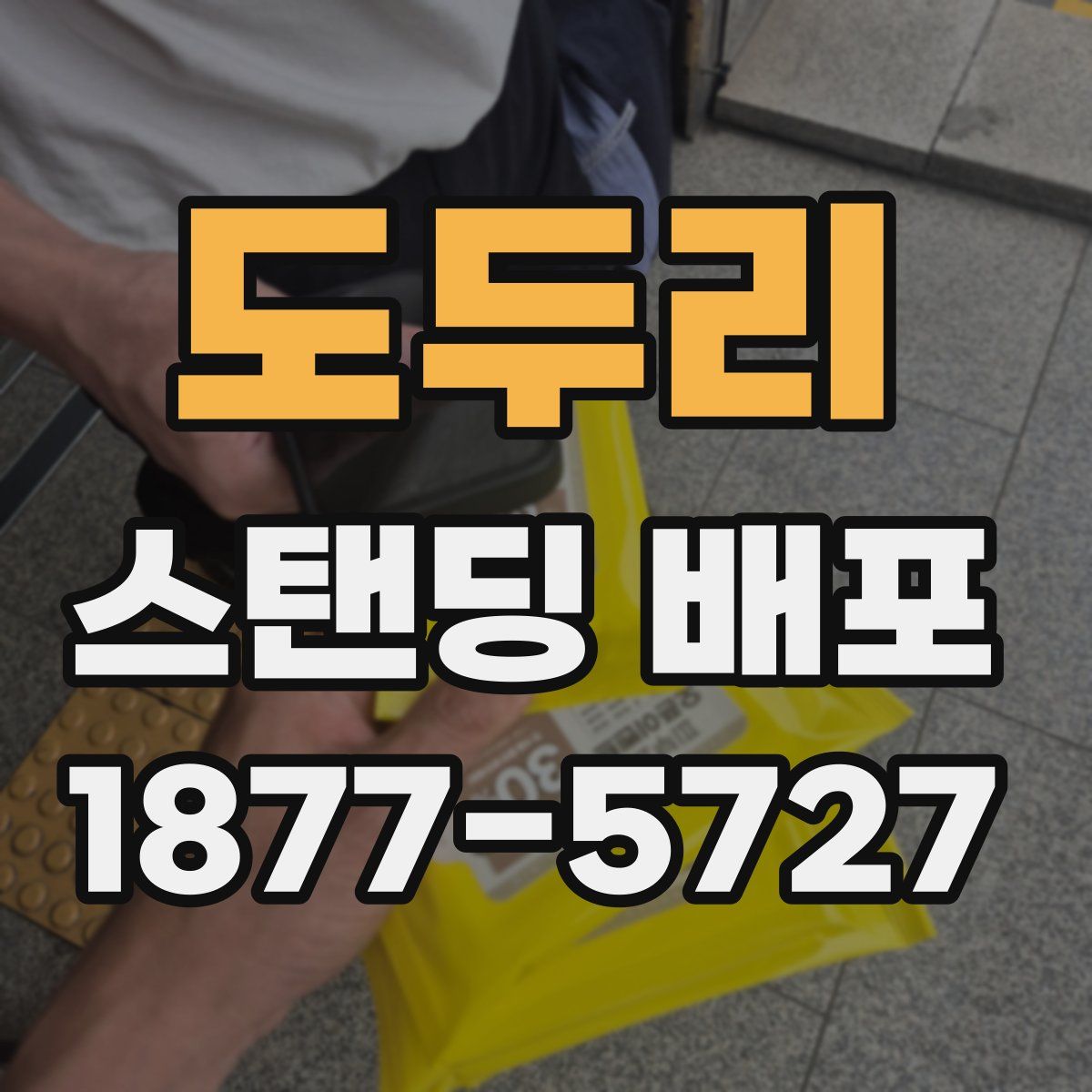 도두리 스탠딩 배포