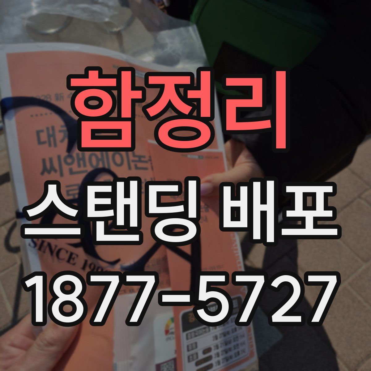 함정리 스탠딩 배포