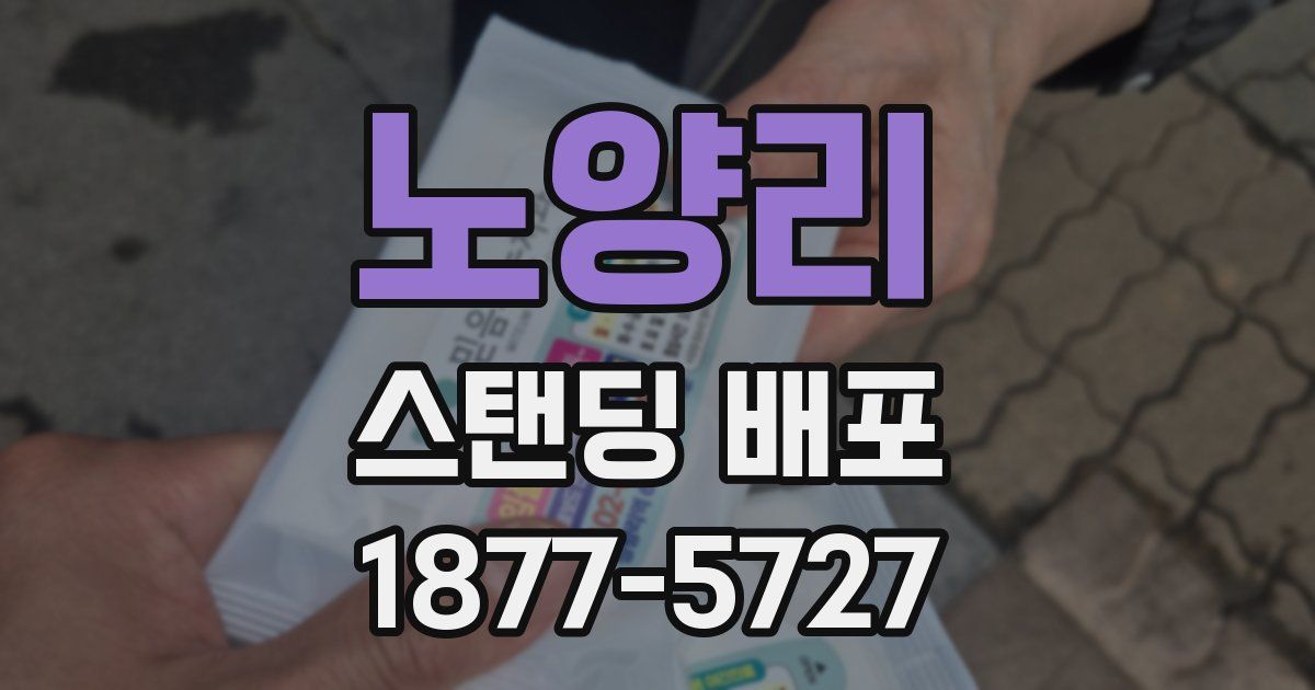 노양리 스탠딩 배포