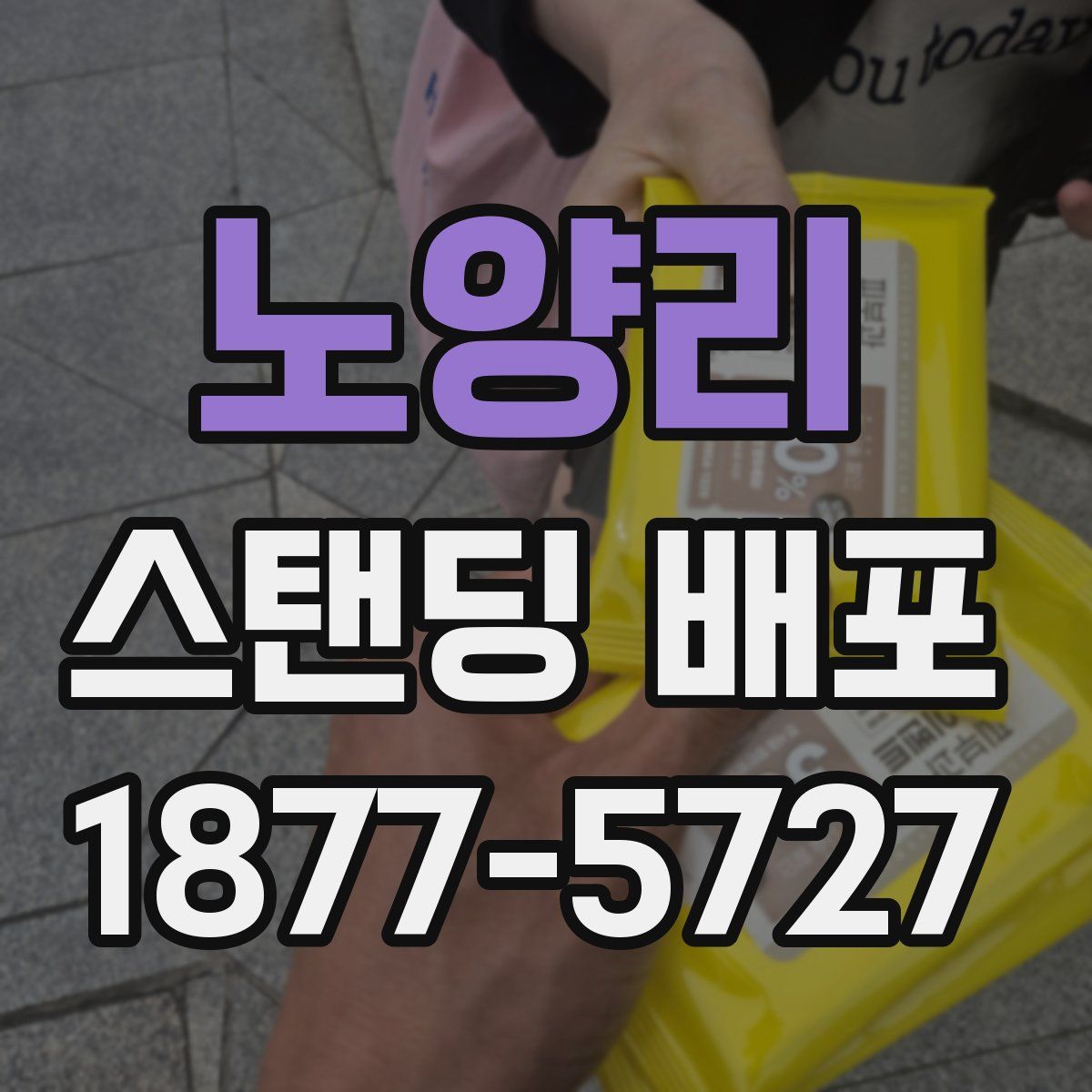 노양리 스탠딩 배포