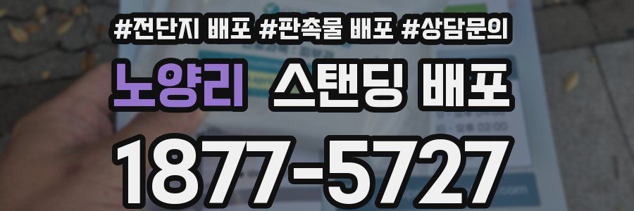 노양리 스탠딩 배포