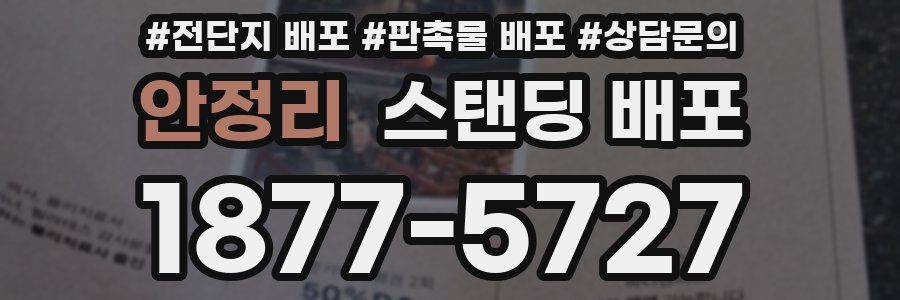 안정리 스탠딩 배포