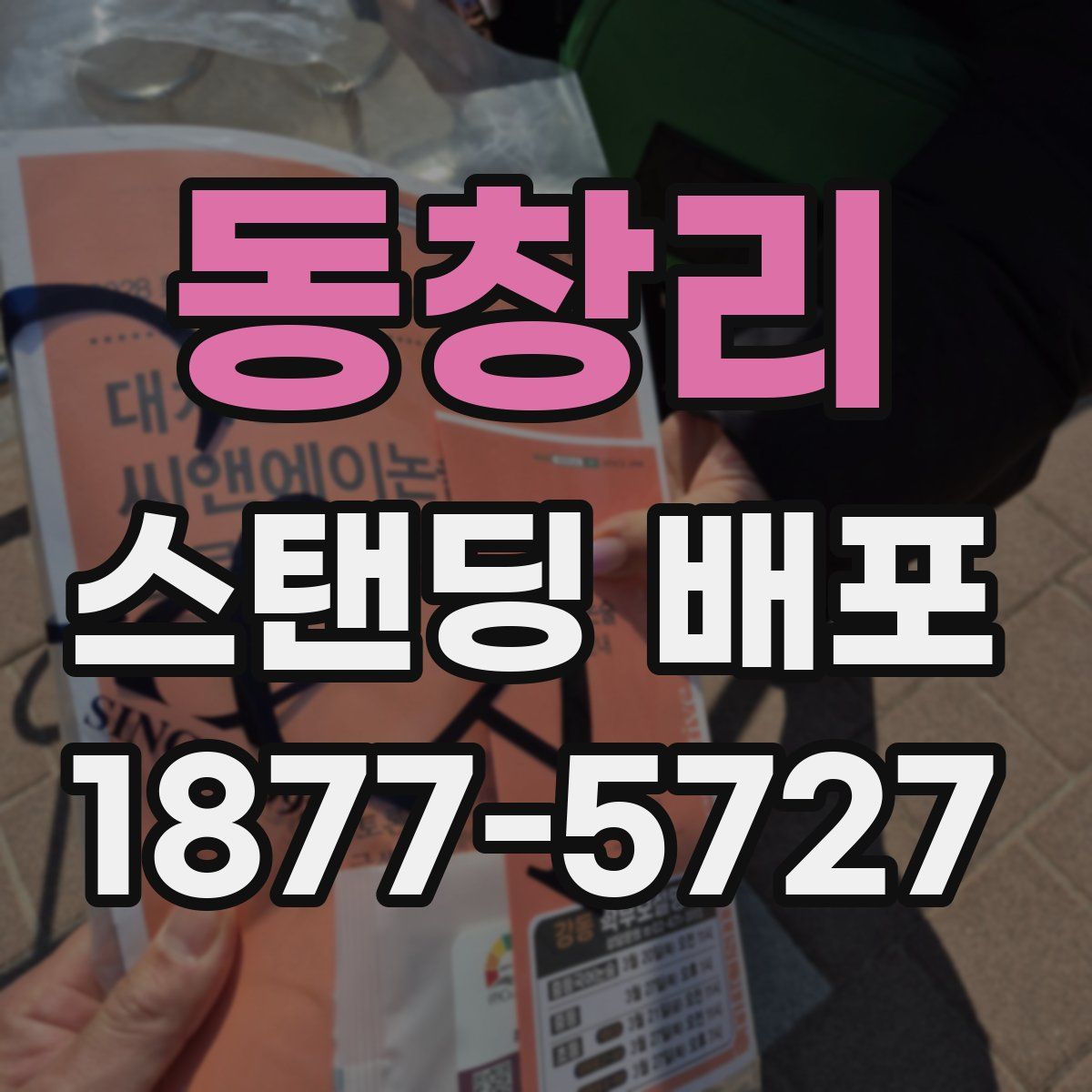 동창리 스탠딩 배포