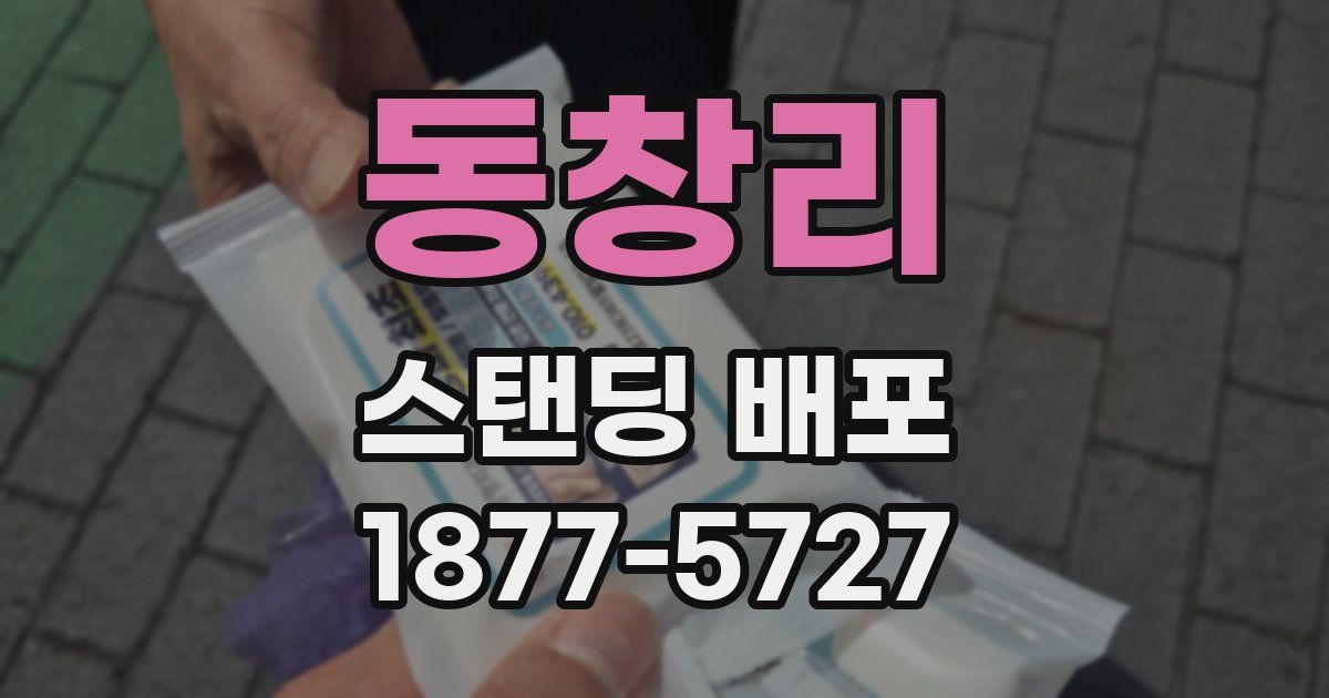 동창리 스탠딩 배포
