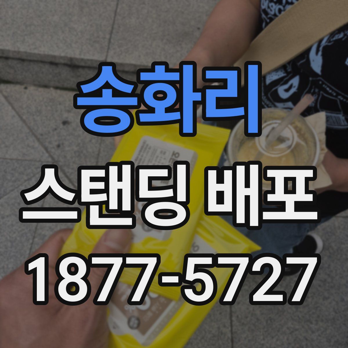 송화리 스탠딩 배포