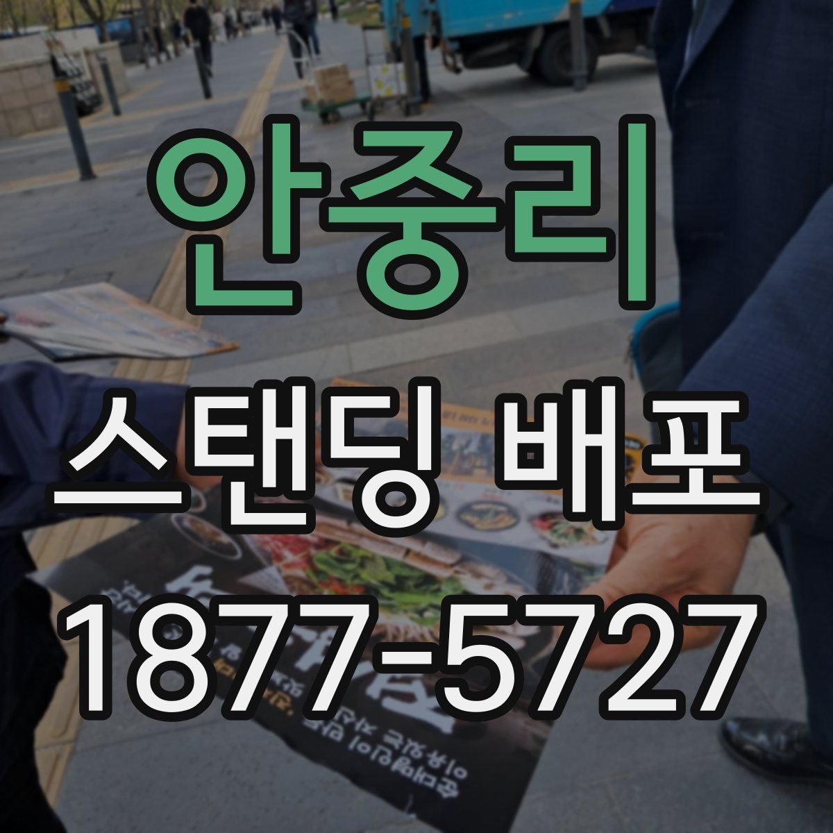 안중리 스탠딩 배포