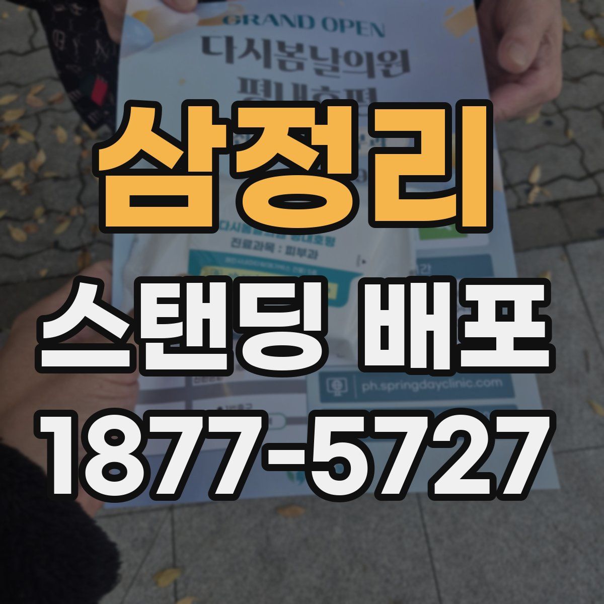 삼정리 스탠딩 배포