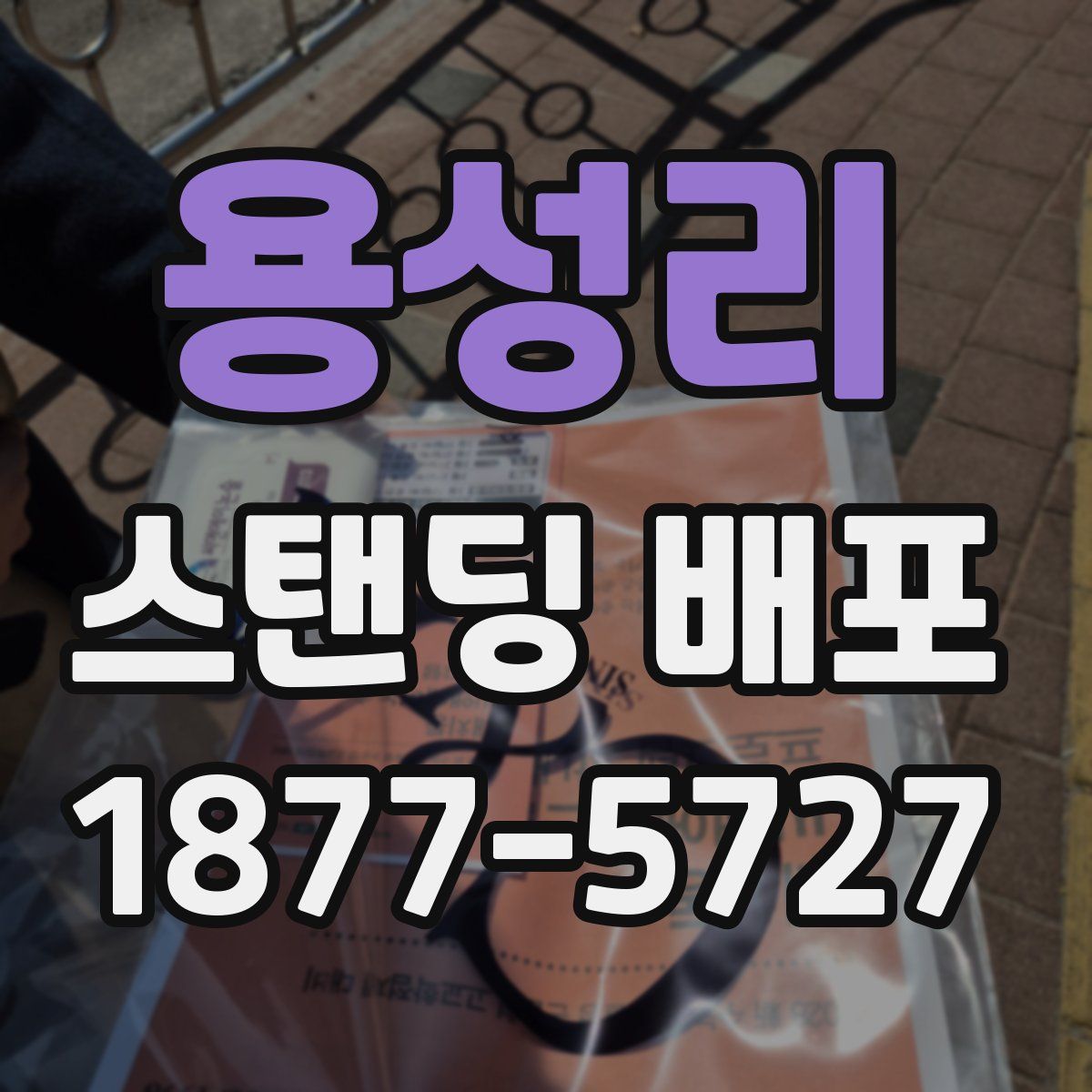용성리 스탠딩 배포