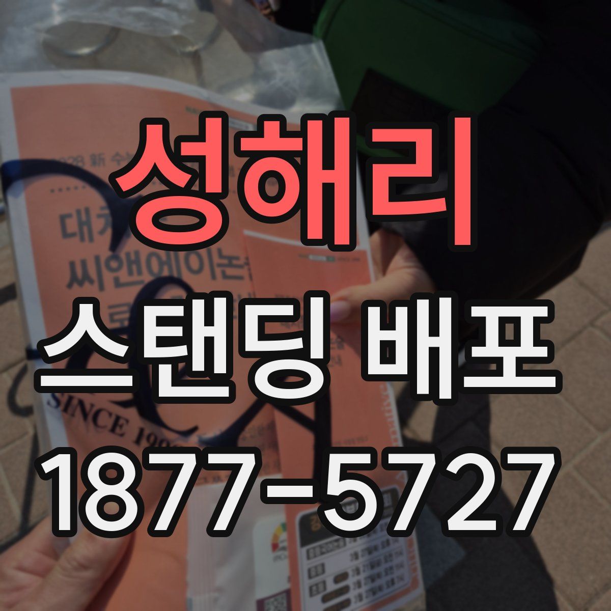 성해리 스탠딩 배포