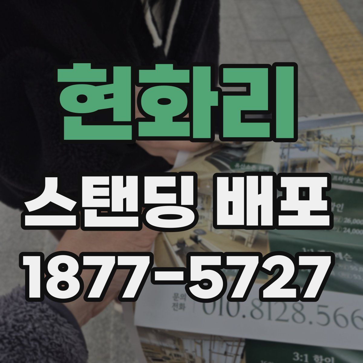 현화리 스탠딩 배포