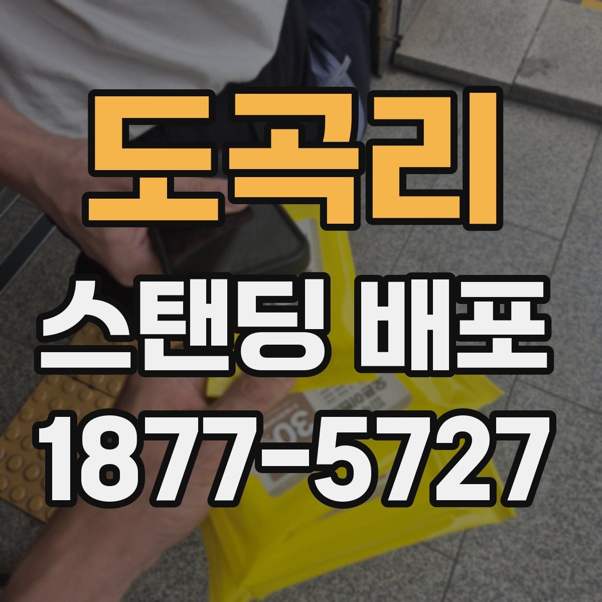 도곡리 스탠딩 배포