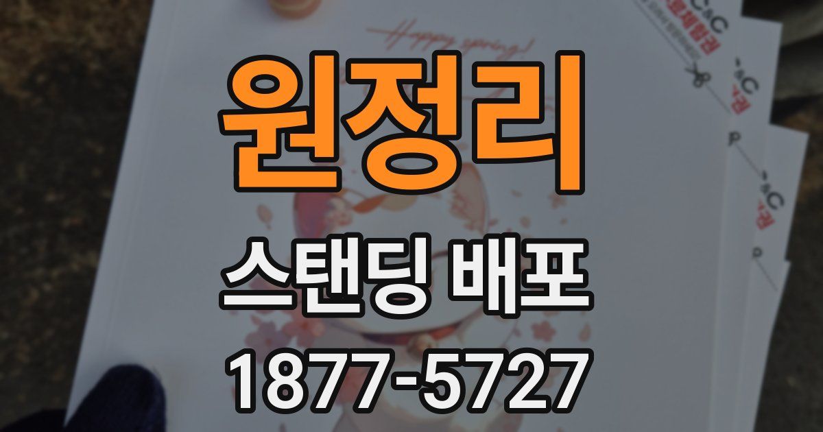 원정리 스탠딩 배포