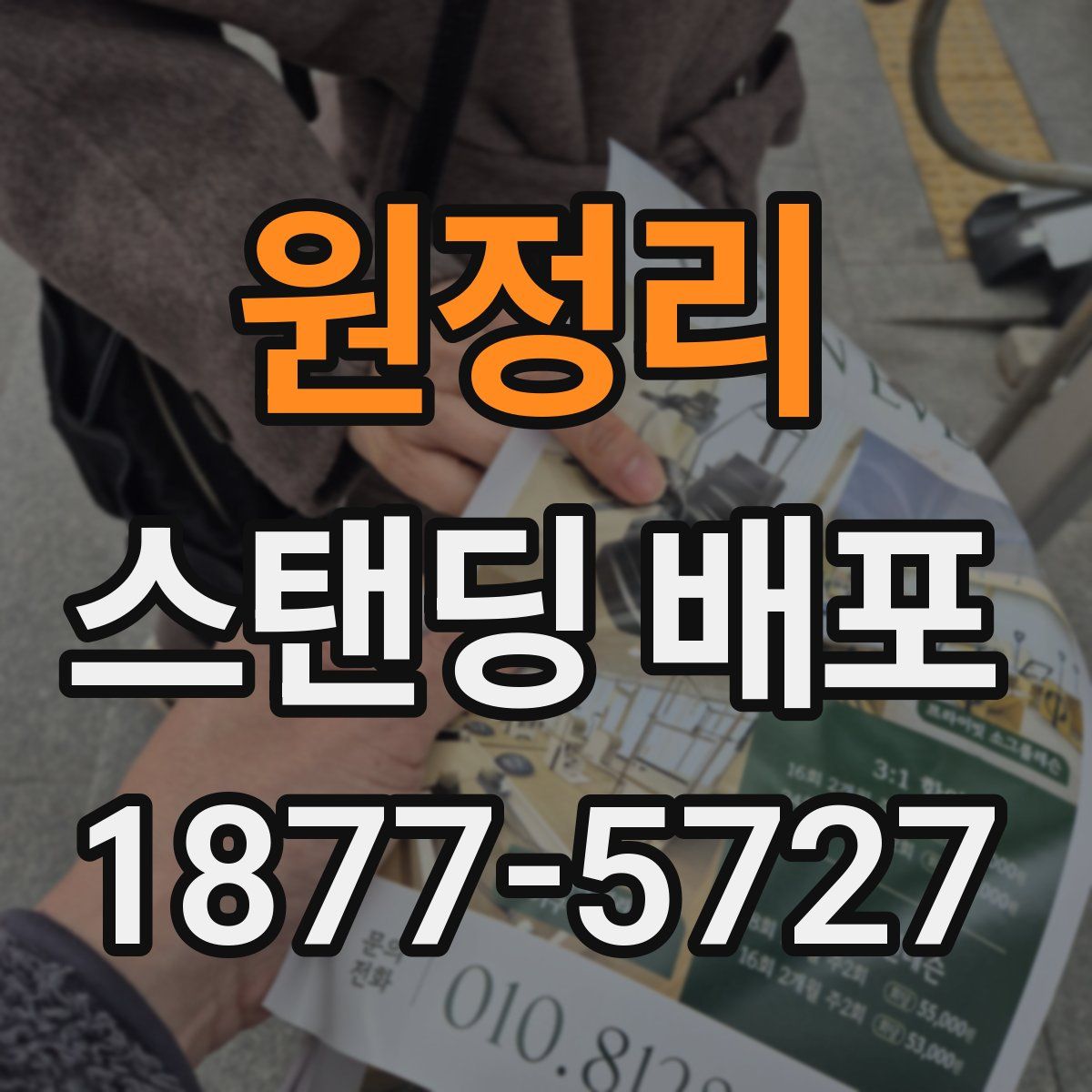 원정리 스탠딩 배포