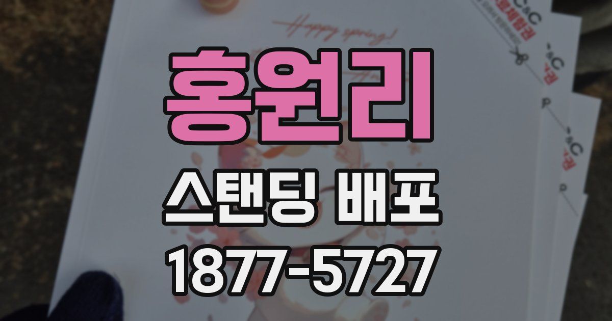 홍원리 스탠딩 배포