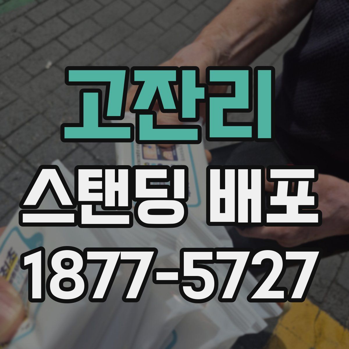 고잔리 스탠딩 배포