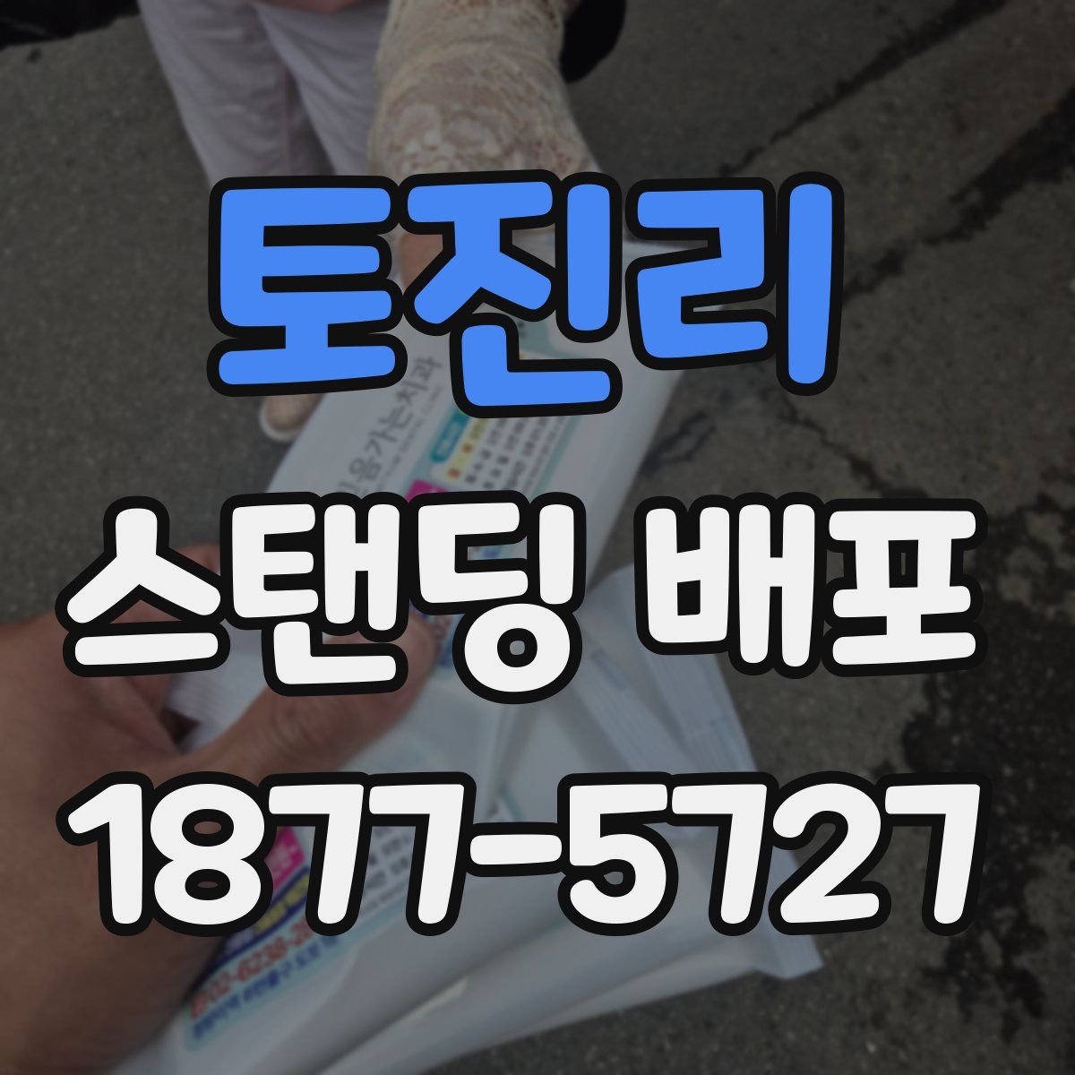 토진리 스탠딩 배포