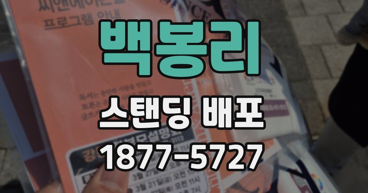 백봉리 스탠딩 배포