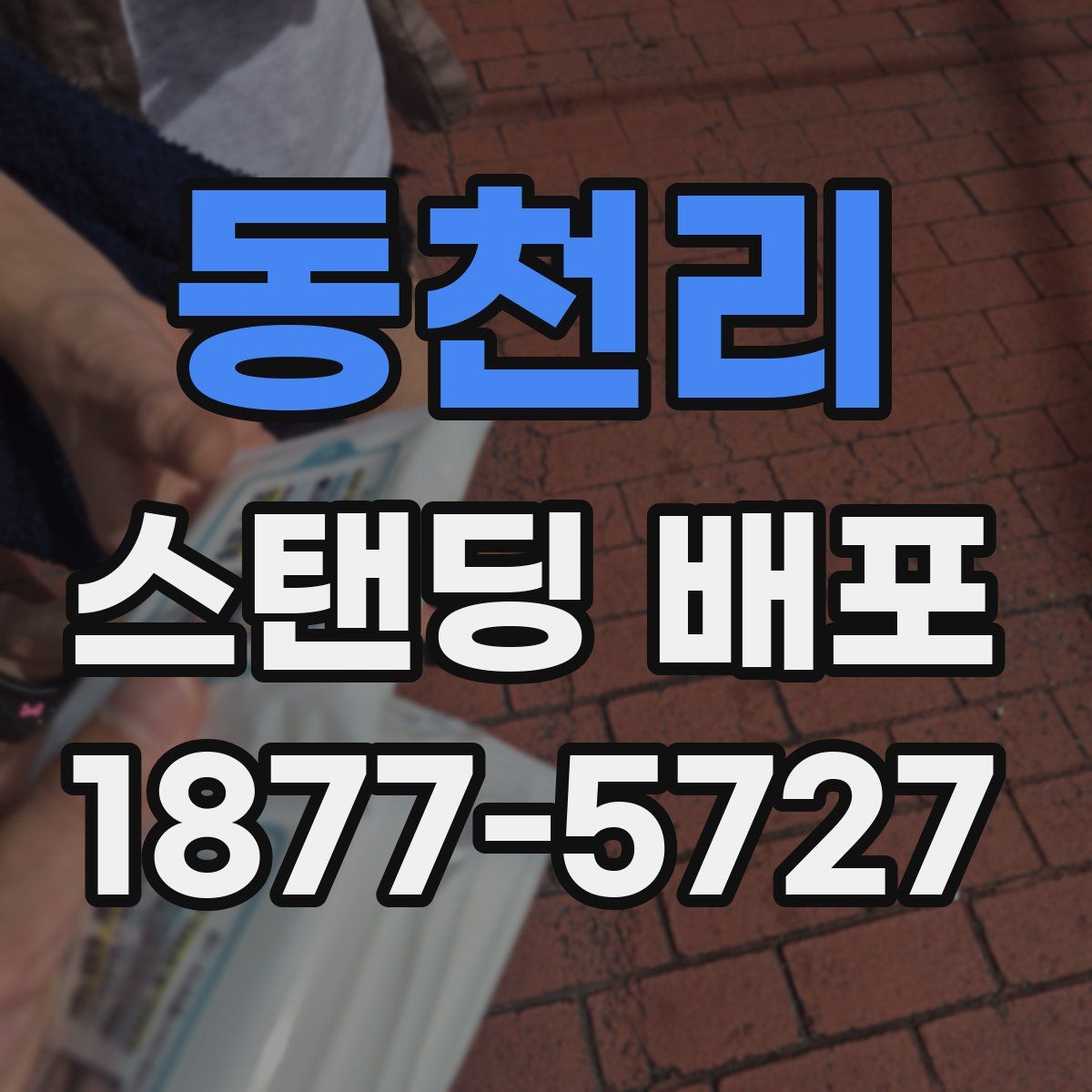 동천리 스탠딩 배포