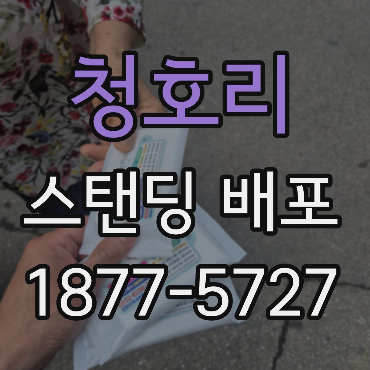 청호리 스탠딩 배포